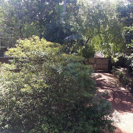 Guesthouse Sunshine Aluthgama Exterior foto